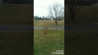 Hold On~Chord Overstreet (Sped Up)