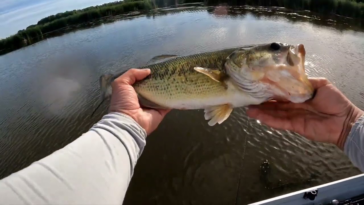 Fishing for big bass