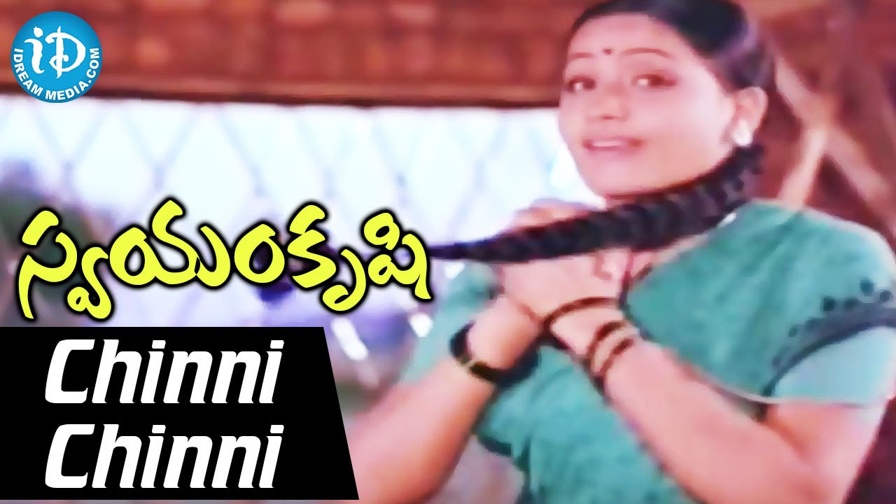 Swayamkrushi Songs  Chinni Chinni Korikaladaga Video Song  Chiranjeevi  Vijayashanti