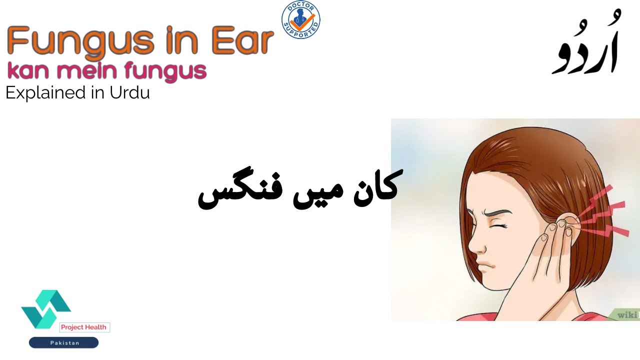 Fungus infection in ear in urdu by doctor YouTube