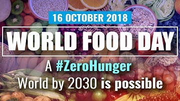 World Food Day 2018 – Our Actions are our Future