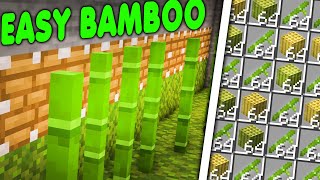 Lets build a  Bamboo Farm in Minecraft Survival