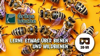 Grüne Woche Interview &quot;Bienen und Wildbienen&quot; - by VRwhatYOUwant VR180 3D