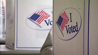 Lynchburg voters eager for redistricting ballot amid legal drama
