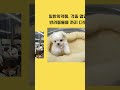 새로 오픈한  국내 1호 창고형 약국 #약국 #신상 #이슈 #영양제 #의약품 #약사 #반려동물 #보충제