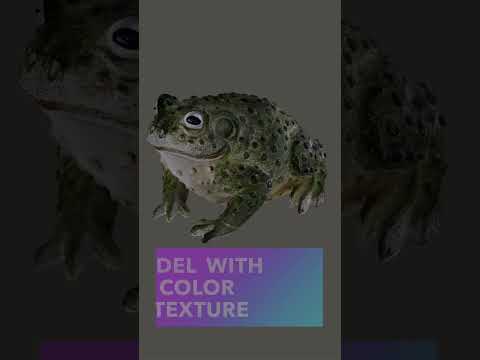 3D Scanning with a Rotating DSLR Camera!