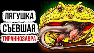 Укус этой лягушки сильнее, чем у волка!