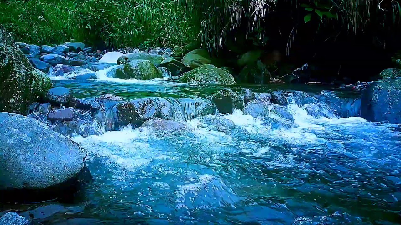 🍃 Deep Night River ASMR Sounds for Deep Sleep, Relaxation & Inner Calm