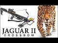 50 метров - Арбалет JAGUAR II  "пролог"