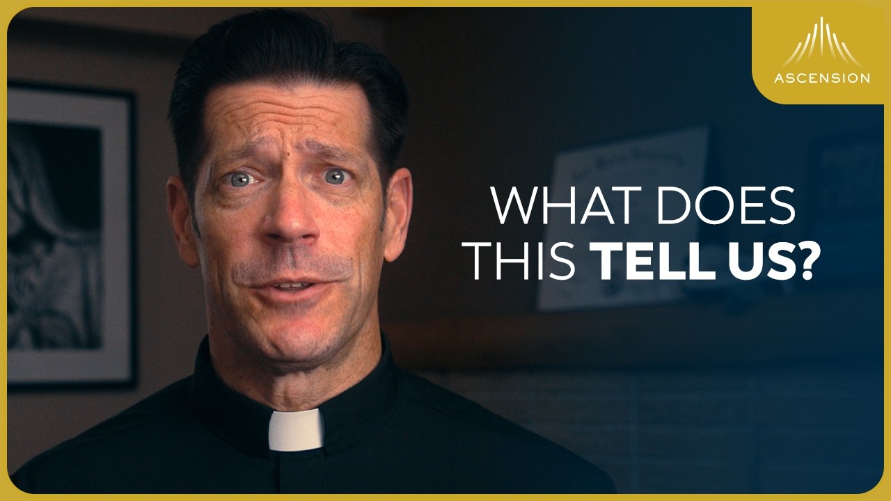 The Differences Between Men and Women (w/ Fr. Mike Schmitz)