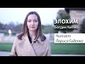 Элохим | Богдан Кипко | читает Лариса Гиденко