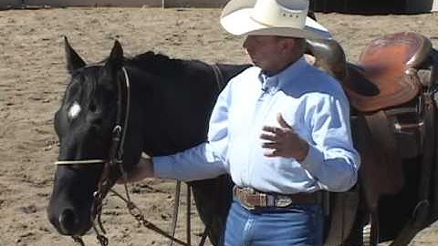 Horse Training Tips - Using A HeadSetter, part 1