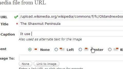 Blogging Part 2: Writing and Editing Posts