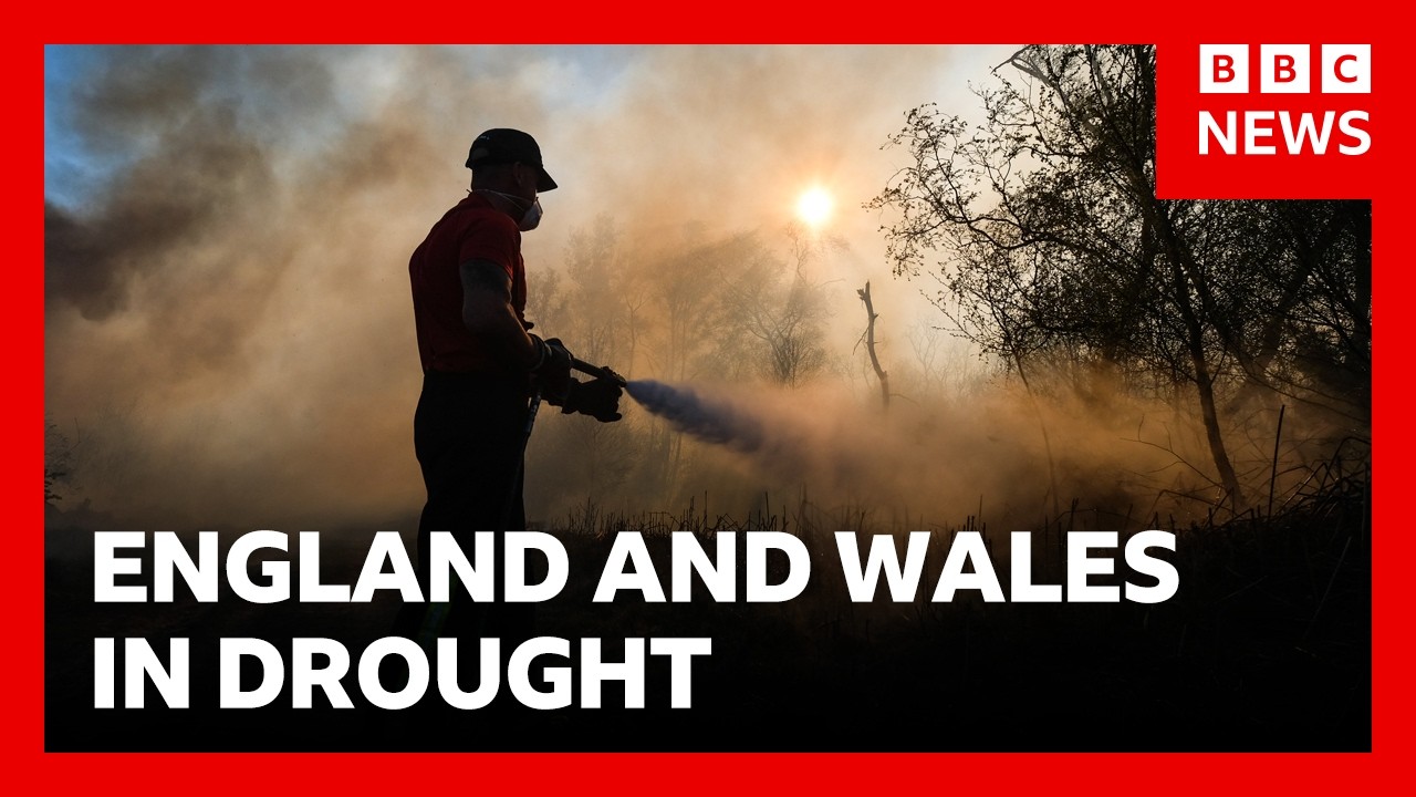 Fire crews still dealing with a "significant number" of fires across Wales and England | BBC News