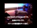 雨の夜想曲(ノクターン)/チェウニ   宝島淑子3【高音質】