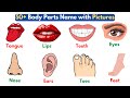 Body Parts Quiz