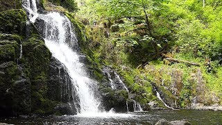 NATURE REFRAINS ~ "Above the Waterfall" (Piano Solo) screenshot 4