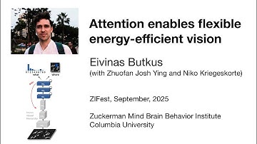 Eivinas Butkus, "Attention Enables Flexible Energy-Efficient Vision" (2025)