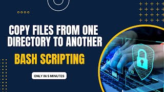 Copy Files using Bash Scripting macOS