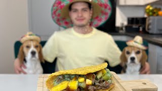 COOKING WITH BEAGLES | Beef Tacos