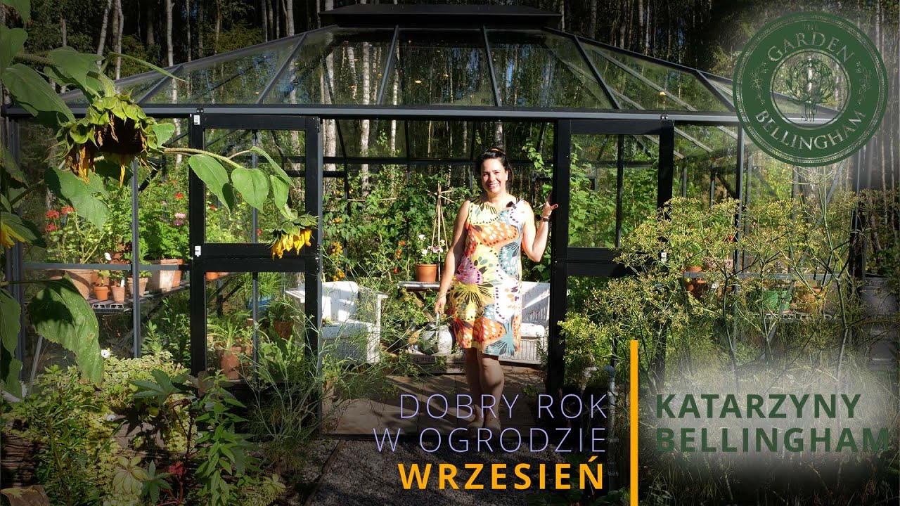 🍂 Pielęgnacja ziół i pelargonii we wrześniu, jesienne donice 🌱🌿Dobry rok w ogrodzie. Wrzesień odc.2