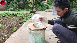 Stupid Water Bottle Mouse Trap How To Make A Mouse Trap Rat Trap In Action Rat Channel