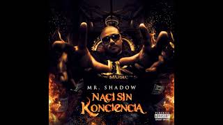 Mr. Shadow - Sombra