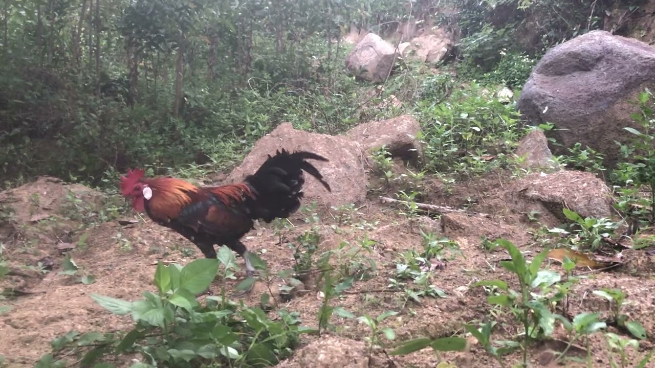 Bổi qúa đẹp ae oi