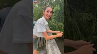 Raccoons do everything except protect the galaxy🥀#racoon #funny #food #cute #animals