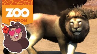 Savannah Exhibits For Lions Zoo Ty Ultimate Animal Collection