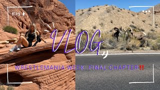 WRESTLEMANIA WEEK VLOG: DAY 3 & 4! THE FINAL CHAPTER‼️