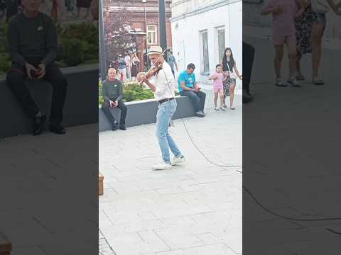 Просто уличный скрипач. Пешеходный бульвар Тюмени