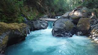Ohanapecosh River, (near) Rainier National Park