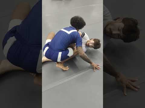 Thursday Night Nogi with the Team 🏆 #pinellaspark #florida