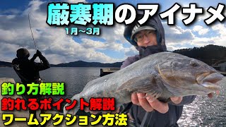 【岩手アイナメワーム】ロックフィッシュトーナメンター小野寺さんが渋い時期の良型アイナメを釣る！