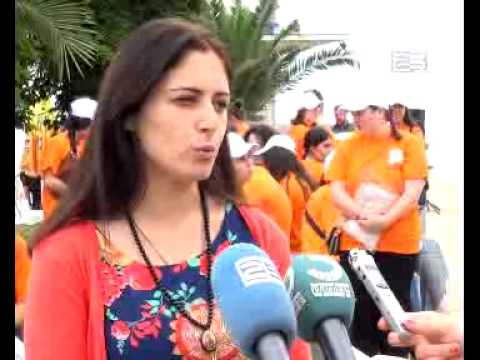 სტუდენტური დასაქმების  პროგრამა იწყება