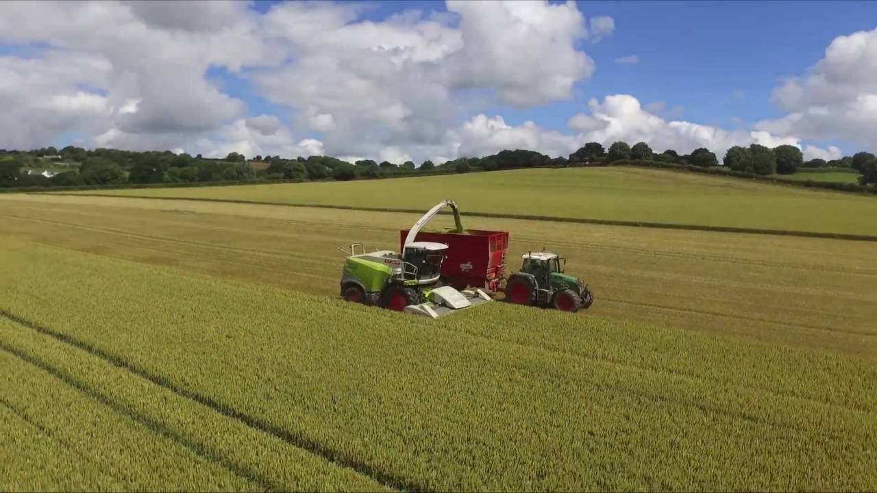 Whole Crop 2016Roy Davey Agricultural Contractors YouTube