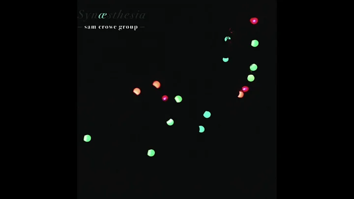 Sam Crowe Group - Fall From Grace (solo)
