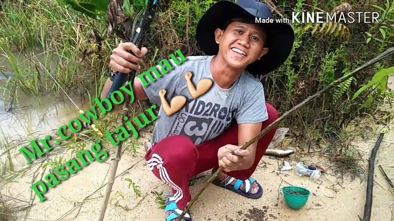 Mancing tajur umpan cacing di rawa semak dapat nya ikan gabus 