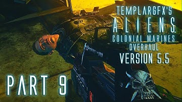 Literally a bug hunt... #9 - TemplarGFX