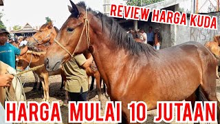 PASAR KUDA | HARGA KUDA MULAI 10 JUTAAN DI PASAR KUDA JENEPONTO | PASAR KUDA PART 106