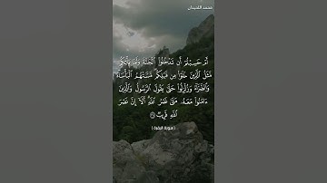 {مَّسَّتْهُم الْبَأْسَاءُ وَالضَّرَّاءُ وَزُلْزِلُوا}تلاوة تزلزل القلوب من سورة البقرة محمد اللحيدان