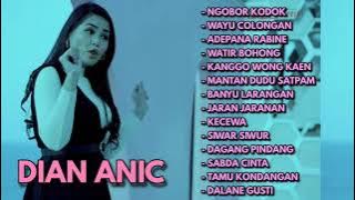 DIAN ANIC ||NGOBOR KODOK FULL ALBUM||