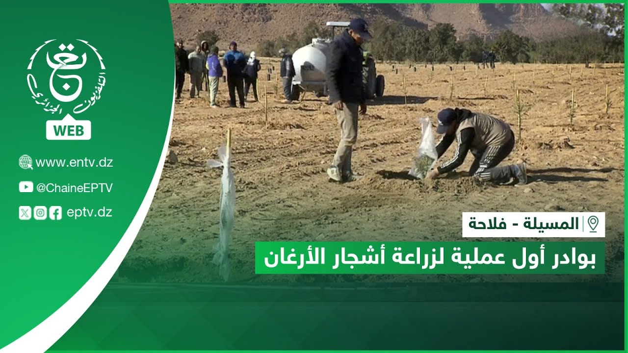المسيلة - فلاحة | بوادرأول عملية لزراعة أشجارالأرغان