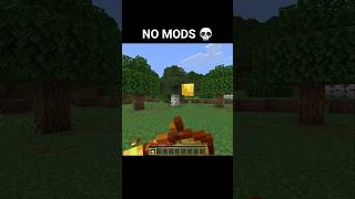 Minecraft Glitch Moment