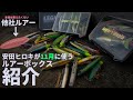 安田ヒロキ11月ルアーセレクト大公開！秋のシーバスハイシーズンを狙うルアーボックスを紹介します。