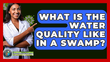 What Is The Water Quality Like In A Swamp? - Earth Science Answers