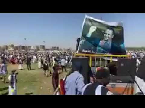 فنان الشرق الفنان حامد عبدالله احد المغنيين للسلام اليوم