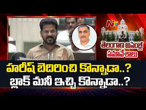 CM Revanth Reddy : రంగనాయక్ సాగర్ పరిధిలో తక్కువ ధరకు హరీష్ భూములు కొన్నారు | NTV