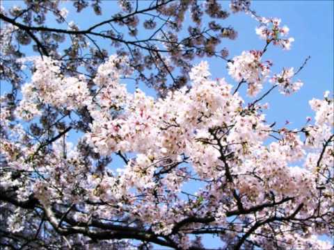 春一番をremixしてみた